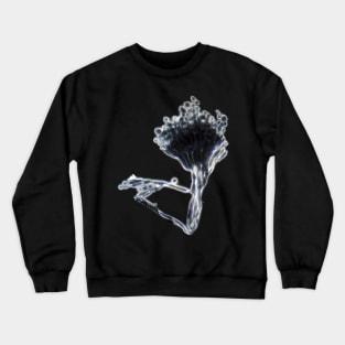 Penicillium mold under the microscope Crewneck Sweatshirt